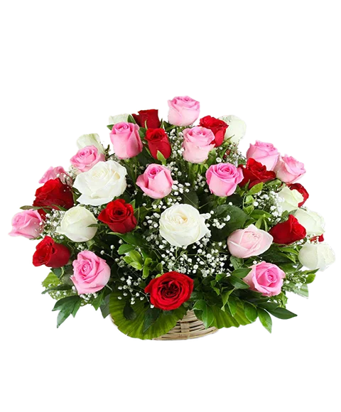 Cesto di rose